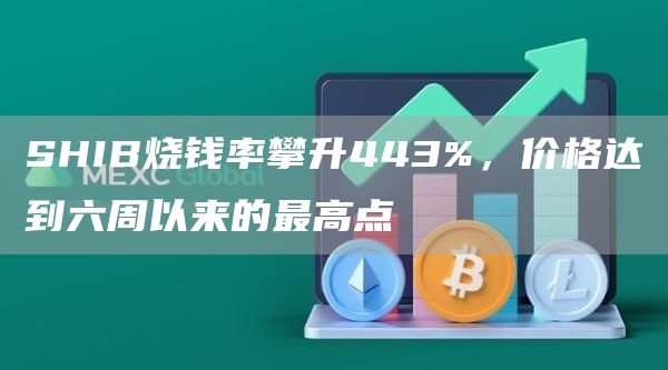 SHIB烧钱率攀升443%，价格达到六周以来的最高点-链答网