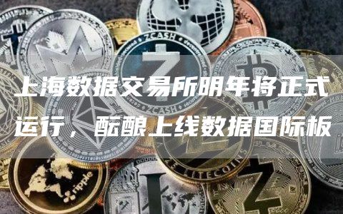 上海数据交易所明年将正式运行，酝酿上线数据国际板-链答网