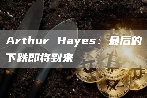 Arthur Hayes：最后的下跌即将到来-链答网