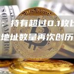 数据：持有超过0.1枚比特币的地址数量再次创历史新高-链答网
