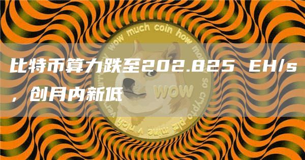 比特币算力跌至202.825 EH/s,创月内新低-链答网