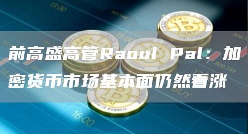 前高盛高管Raoul Pal：加密货币市场基本面仍然看涨-链答网