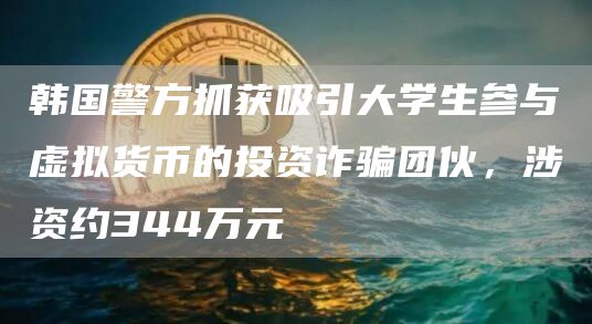 韩国警方抓获吸引大学生参与虚拟货币的投资诈骗团伙,涉资约344万元-链答网