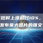 DOGE短时上涨超过10%,疑似与马斯克发布柴犬图片的推文有关-链答网