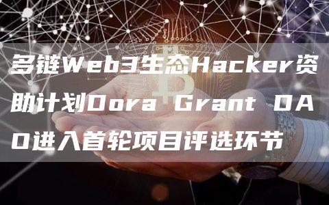 多链Web3生态Hacker资助计划Dora Grant DAO进入首轮项目评选环节-链答网