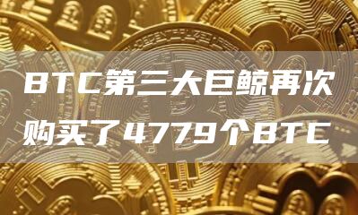 BTC第三大巨鲸再次购买了4779个BTC-链答网