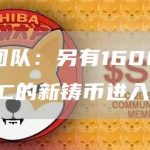 安全团队:另有1600万枚USDC的新铸币进入流通-链答网