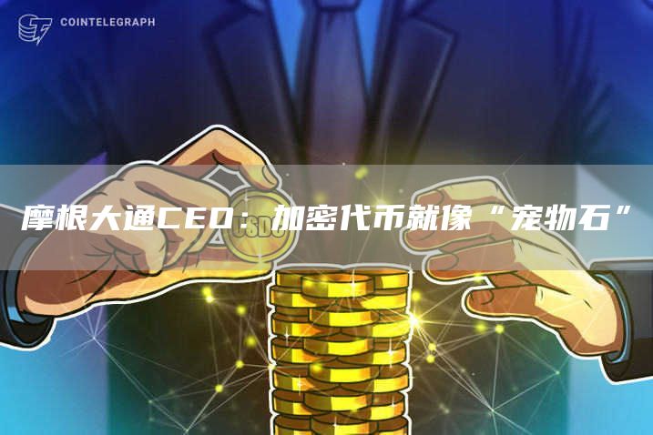 摩根大通CEO：加密代币就像“宠物石”-链答网