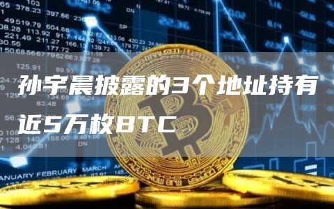 孙宇晨披露的3个地址持有近5万枚BTC-链答网