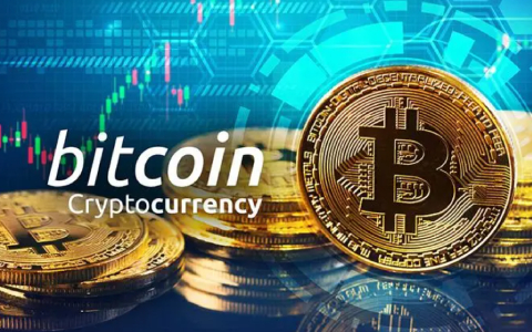 shib最新行情分析(SHIB最新行情)-链答网