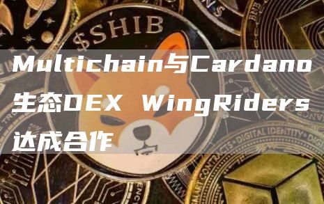 Multichain与Cardano生态DEX WingRiders达成合作-链答网