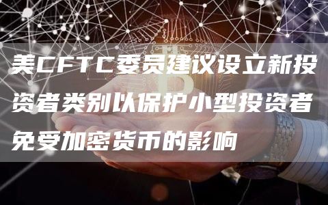 美CFTC委员建议设立新投资者类别以保护小型投资者免受加密货币的影响-链答网