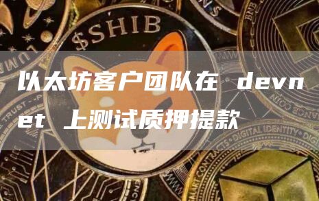 以太坊客户团队在 devnet 上测试质押提款-链答网