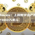 CoinShares：上周数字资产投资产品净流出2300万美元-链答网