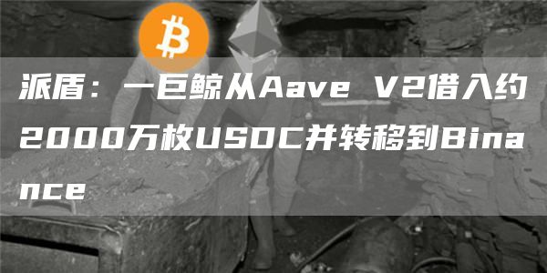 派盾：一巨鲸从Aave V2借入约2000万枚USDC并转移到Binance-链答网