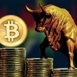 比特币排行(比特币排行行情网)-链答网