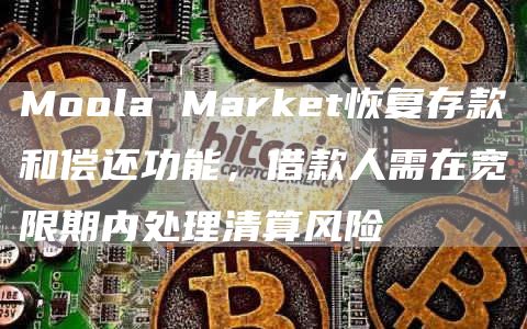 Moola Market恢复存款和偿还功能,借款人需在宽限期内处理清算风险-链答网