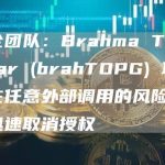 安全团队:Brahma TopGear (brahTOPG) 项目存在任意外部调用的风险,请迅速取消授权-链答网