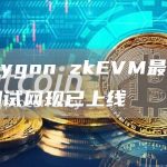 Polygon zkEVM最后一个测试网现已上线-链答网