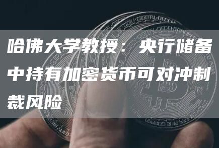 哈佛大学教授：央行储备中持有加密货币可对冲制裁风险-链答网