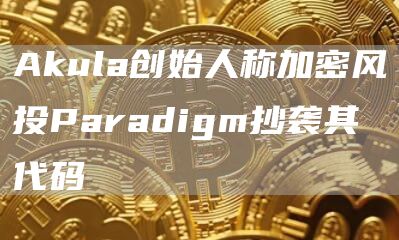 Akula创始人称加密风投Paradigm抄袭其代码-链答网
