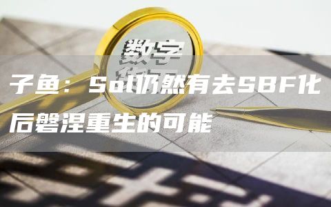子鱼:Sol仍然有去SBF化后磐涅重生的可能-链答网
