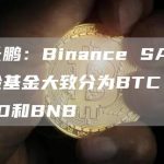 赵长鹏：Binance SAFU保险基金大致分为BTC、BUSD和BNB-链答网