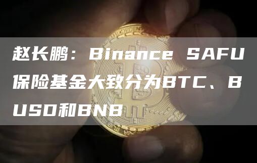 赵长鹏：Binance SAFU保险基金大致分为BTC、BUSD和BNB-链答网