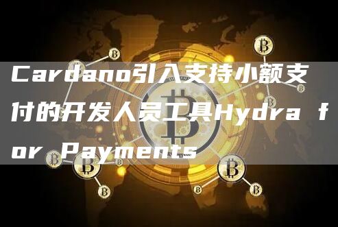 Cardano引入支持小额支付的开发人员工具Hydra for Payments-链答网