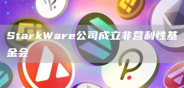 StarkWare公司成立非营利性基金会-链答网