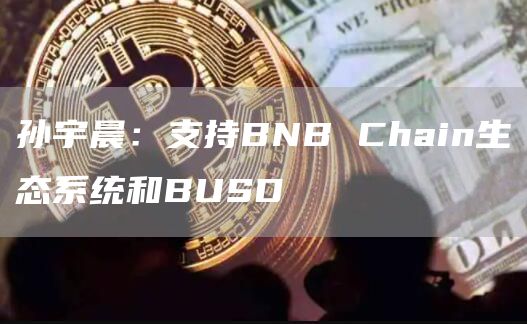 孙宇晨：支持BNB Chain生态系统和BUSD-链答网