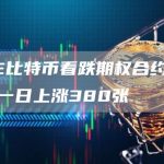 CME比特币看跌期权合约持仓较上一日上涨380张-链答网