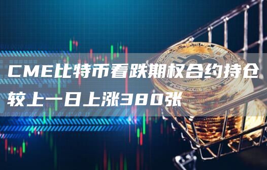 CME比特币看跌期权合约持仓较上一日上涨380张-链答网