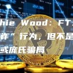Cathie Wood:FTX是“欺诈”行为,但不是雷曼危机或庞氏骗局-链答网