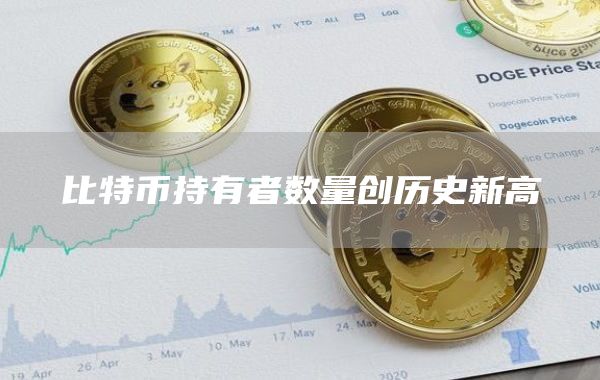 比特币持有者数量创历史新高-链答网