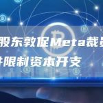 基金股东敦促Meta裁员20% 并限制资本开支-链答网