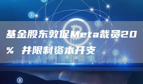 基金股东敦促Meta裁员20% 并限制资本开支-链答网