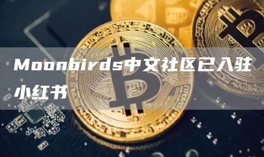 Moonbirds中文社区已入驻小红书-链答网
