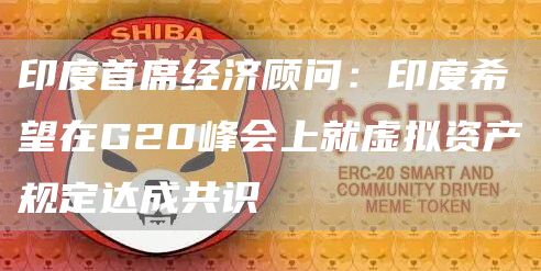 印度首席经济顾问：印度希望在G20峰会上就虚拟资产规定达成共识-链答网