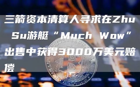 三箭资本清算人寻求在Zhu Su游艇“Much Wow”出售中获得3000万美元赔偿-链答网
